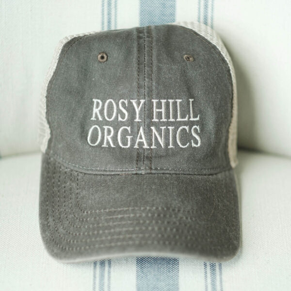 Rosy Hill Brown Embroidered Hat