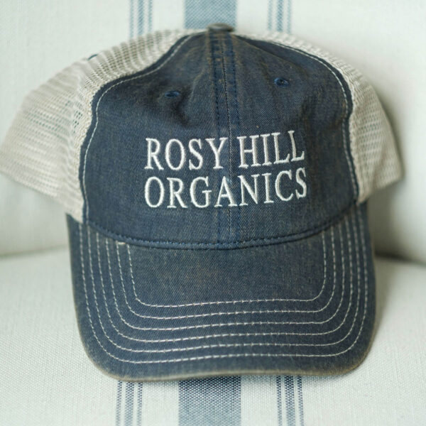 Rosy Hill Navy Embroidered Hat