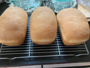 Best Sandwich Bread Recipe - Rosy Hill Organics Recipes