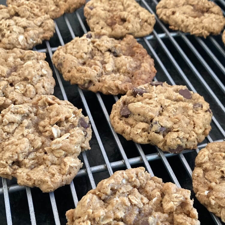 Oatmeal Chocolate Chip Cookie Recipe - Rosy Hill Organics