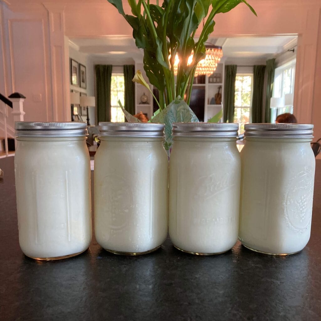 Homemade, Non-Homogenized, Pectin-Free Yogurt
