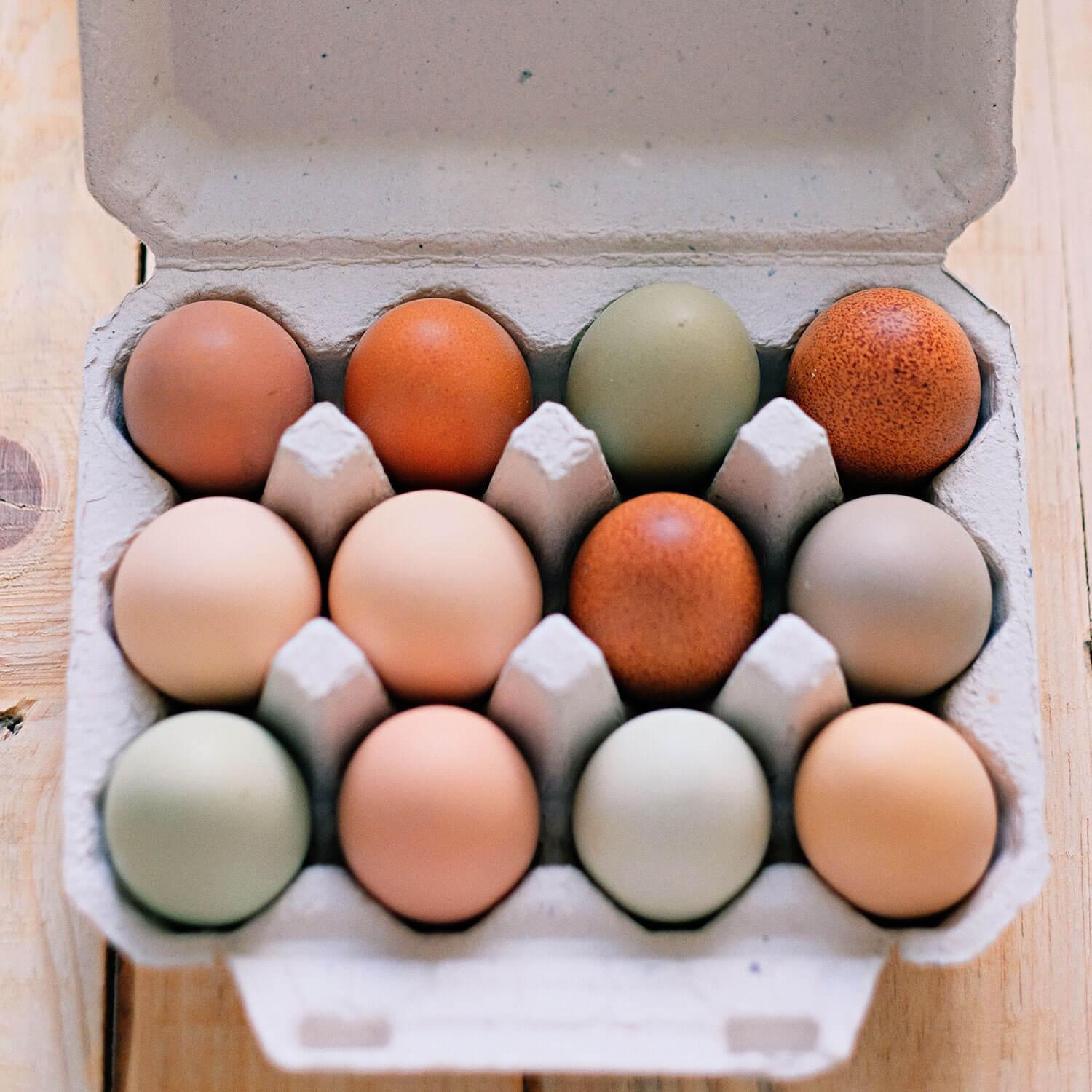 Farm Fresh Organic Eggs