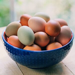 Organic Farm Fresh Eggs