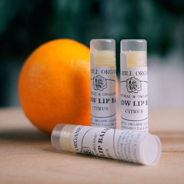 Tallow Lip Balm - Citrus