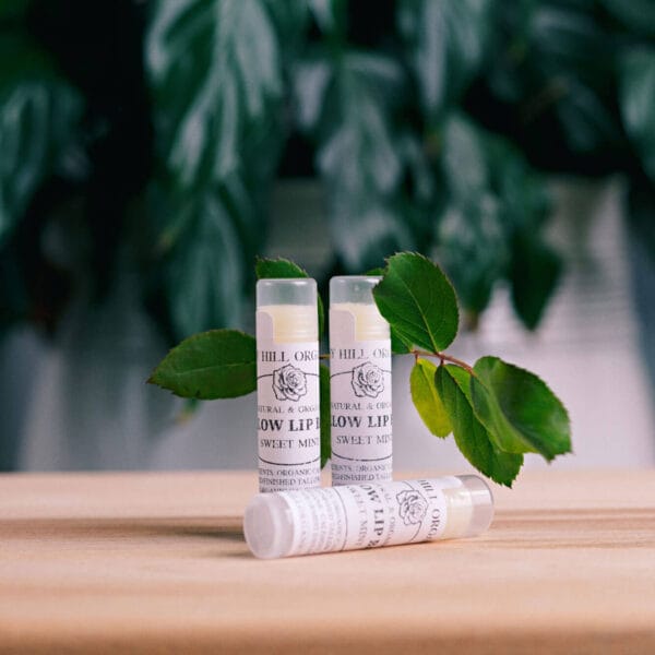 Tallow Lip Balm - Sweet Mint