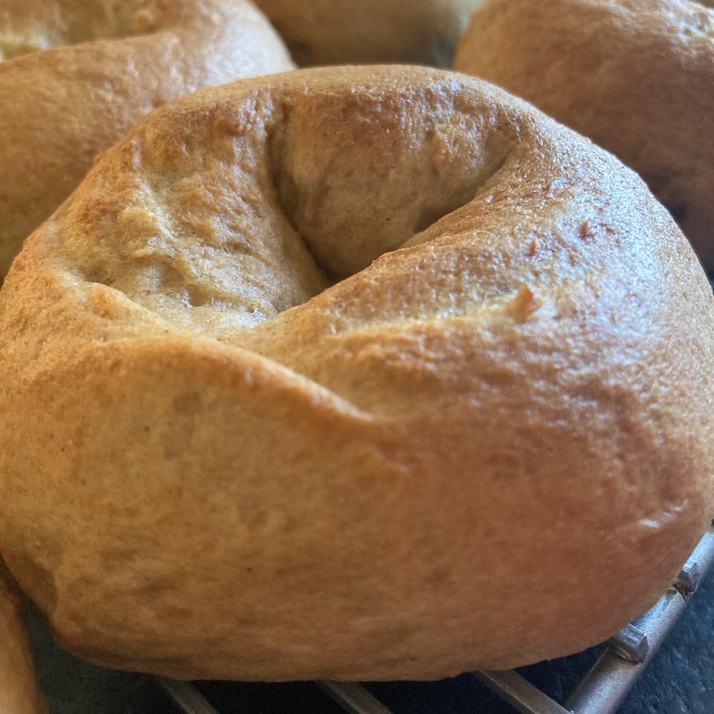 New York Style Bagels