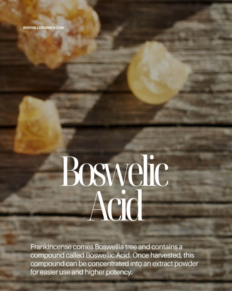 Learn About Frankincense Resin Extract
