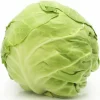 Cabbage